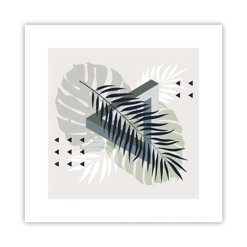 Póster - Naturaleza y geometría - 30x30 cm