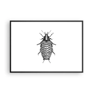 Póster en marco negro - Gráfico de un insecto en blanco y negro sobre un fondo blanco. - 100x70cm - ¡Qué espécimen! - Decoración de pared moderna para salón y dormitorio ARTTOR