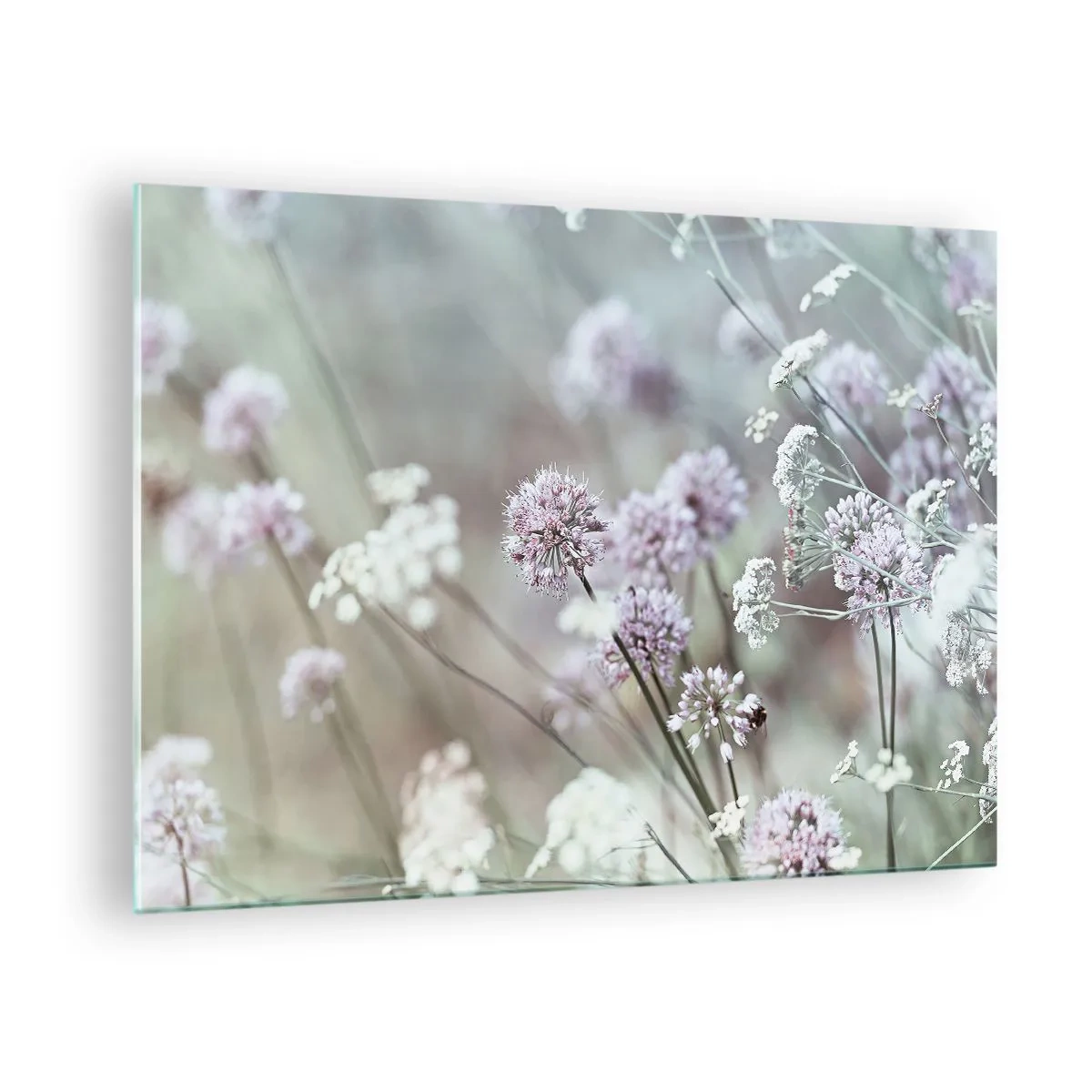 Cuadro sobre vidrio - Impresiones sobre Vidrio - Delicadas flores silvestres en tonos pastel. - 70x50cm - Dulces filigranas de hierbas - Decoración de pared moderna para salón y dormitorio ARTTOR