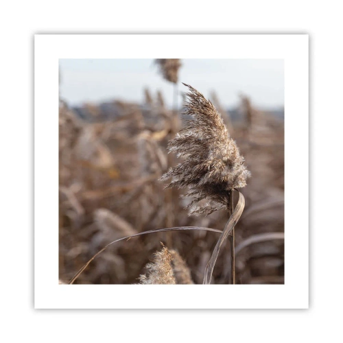 Póster - Es hora de volar con el viento - 40x40 cm