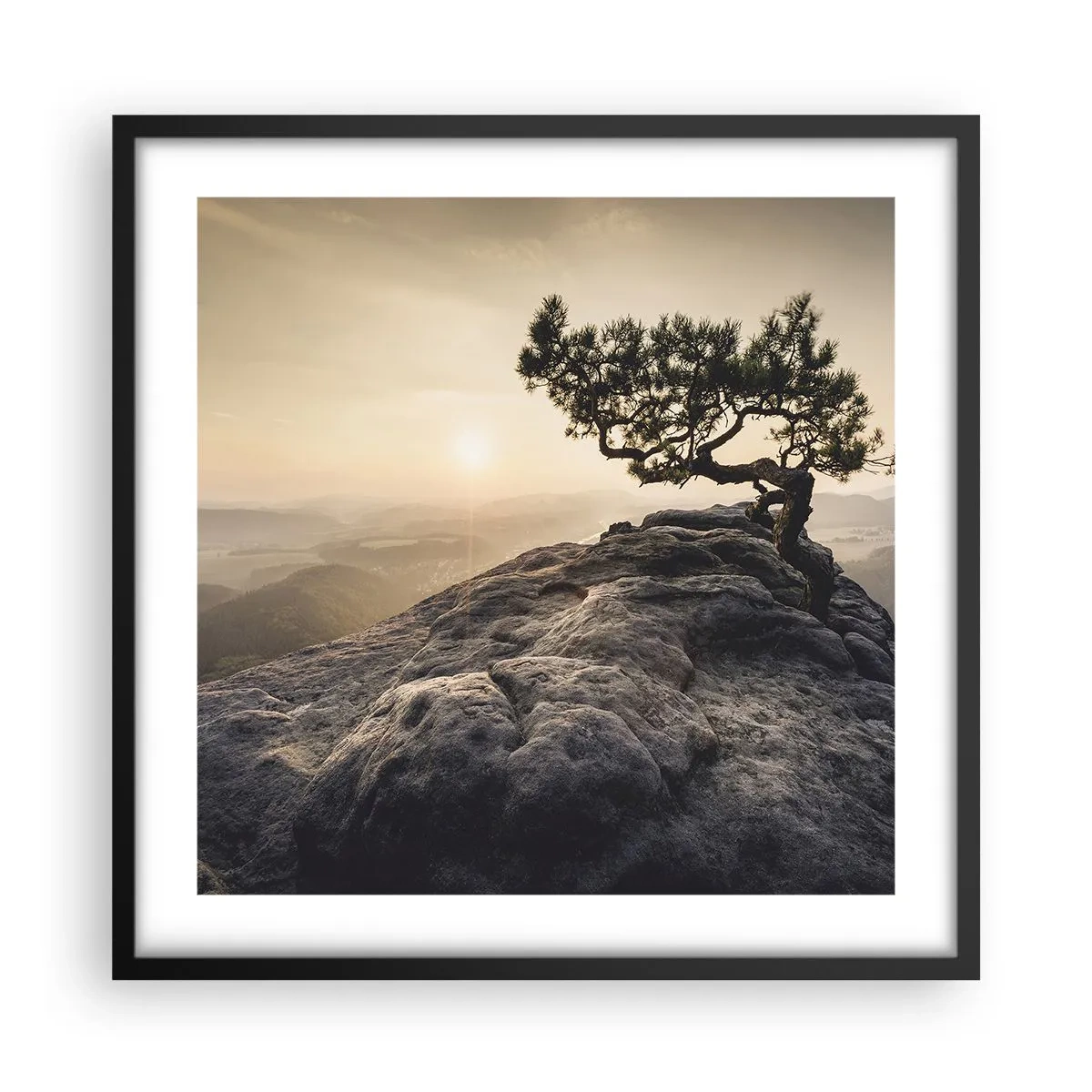 Póster en marco negro - La vida se abre camino - 50x50 cm