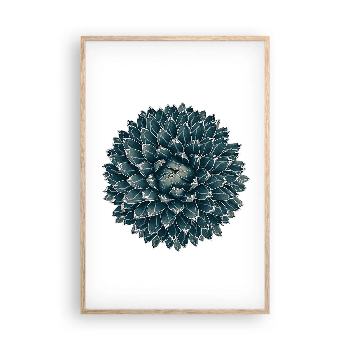 Póster en marco roble claro - Estrella del desierto - 61x91 cm