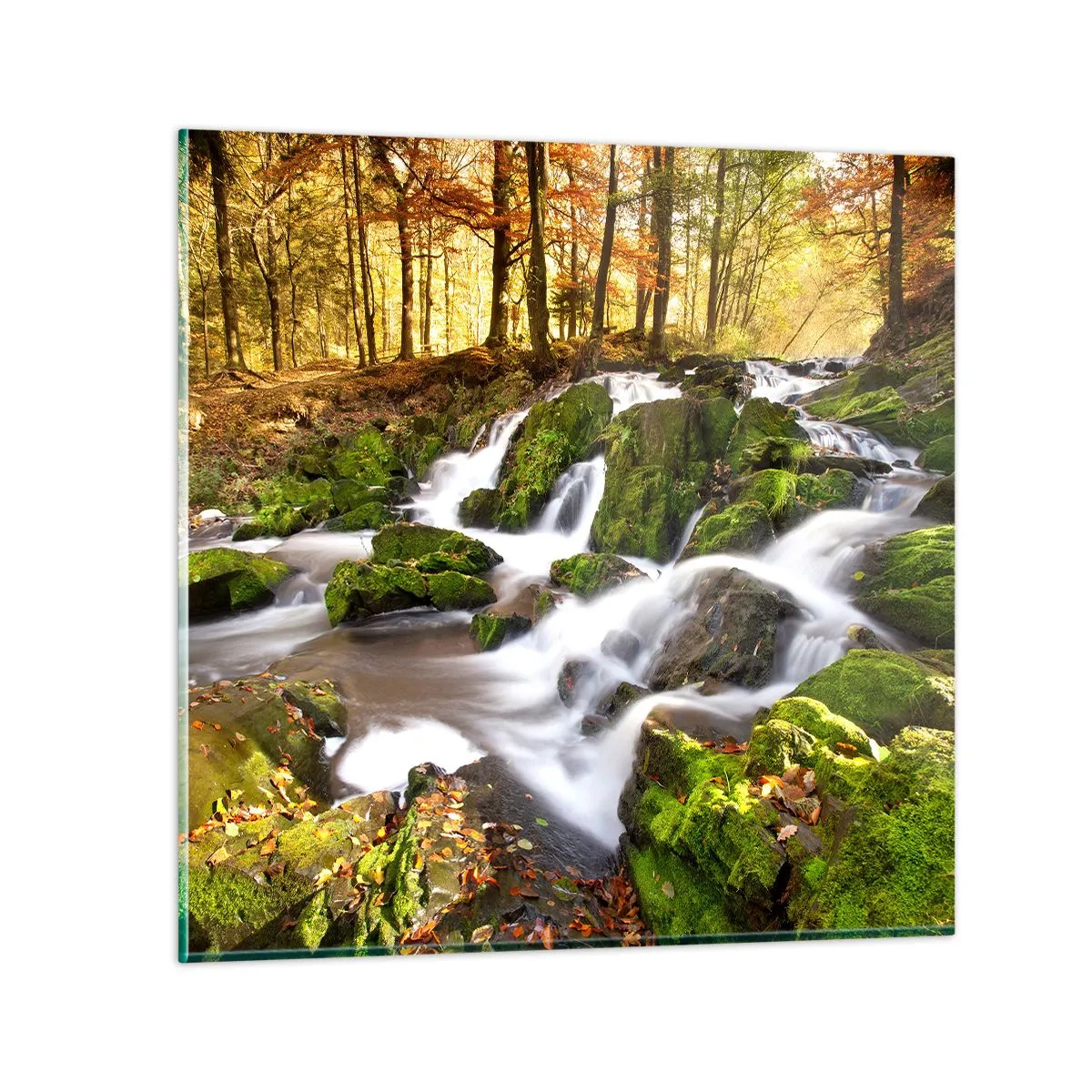 Cuadro sobre vidrio - Impresiones sobre Vidrio - Atravesando el bosque otoñal - 60x60 cm