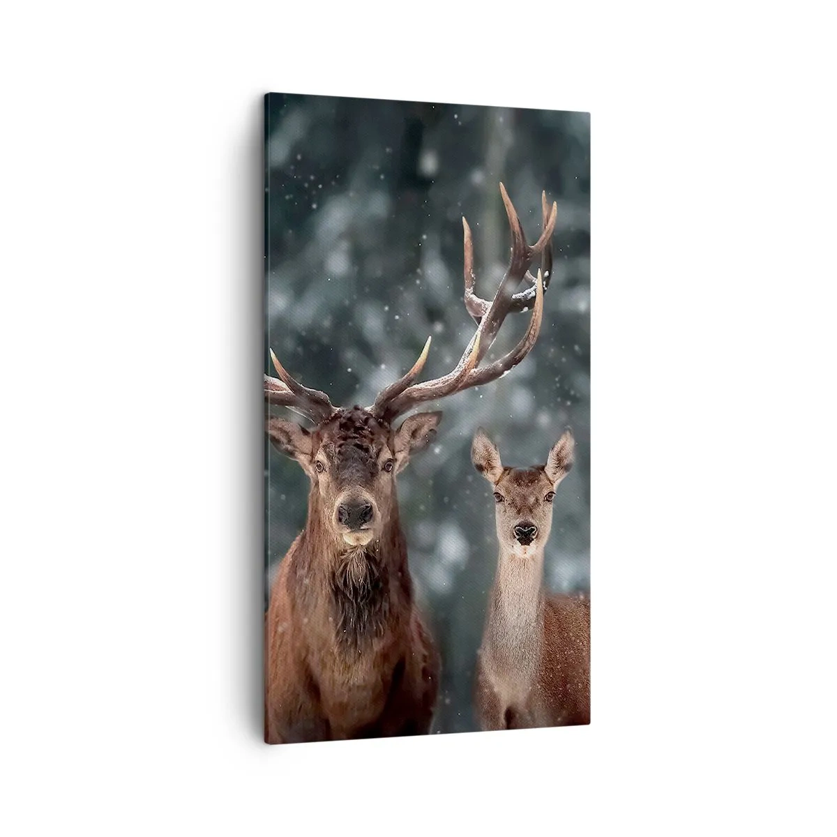 Cuadro sobre lienzo - Impresión de Imagen - El señor y la señora del bosque - 45x80 cm