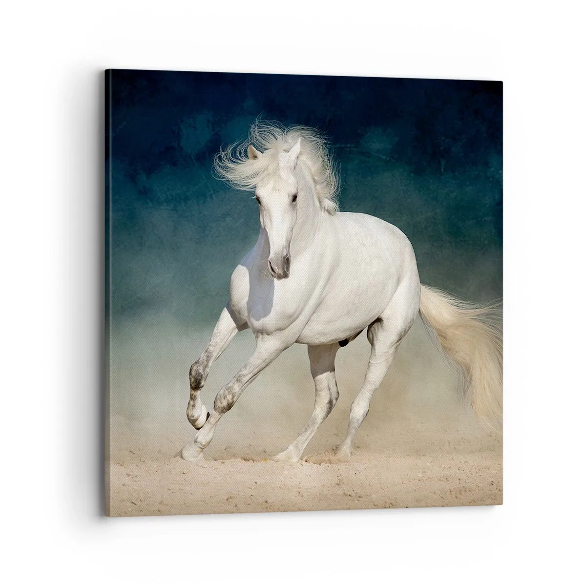 Cuadro sobre lienzo - Impresión de Imagen - Libertad en estado puro - 70x70 cm