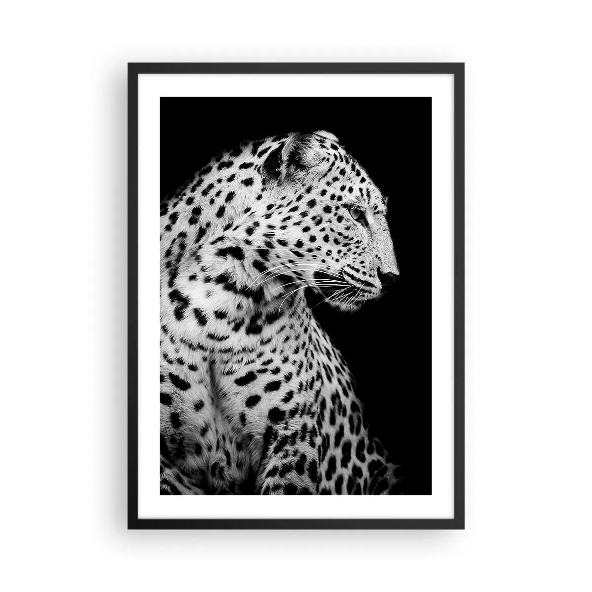 Póster en marco negro - Retrato en blanco y negro de un leopardo sobre un fondo negro. - 50x70cm - El perfil derecho es perfecto - Decoración de pared moderna para salón y dormitorio ARTTOR