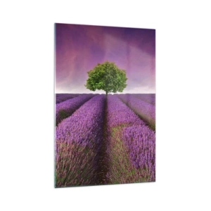 Cuadro sobre vidrio - Impresiones sobre Vidrio - Un campo de lavanda con un árbol solitario y un cielo púrpura. - 70x100cm - En los campos de lavanda - Decoración de pared moderna para salón y dormitorio ARTTOR