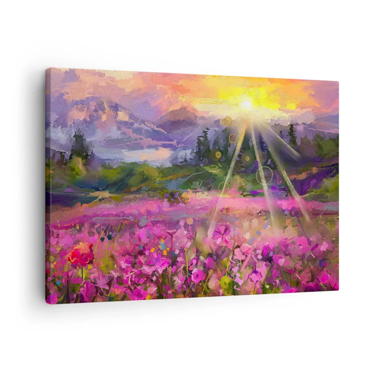 Cuadro sobre lienzo - Impresión de Imagen - Un prado pintoresco bajo los rayos del sol poniente. - 70x50cm - En un valle bajo la protección del sol - Decoración de pared moderna para salón y dormitorio ARTTOR
