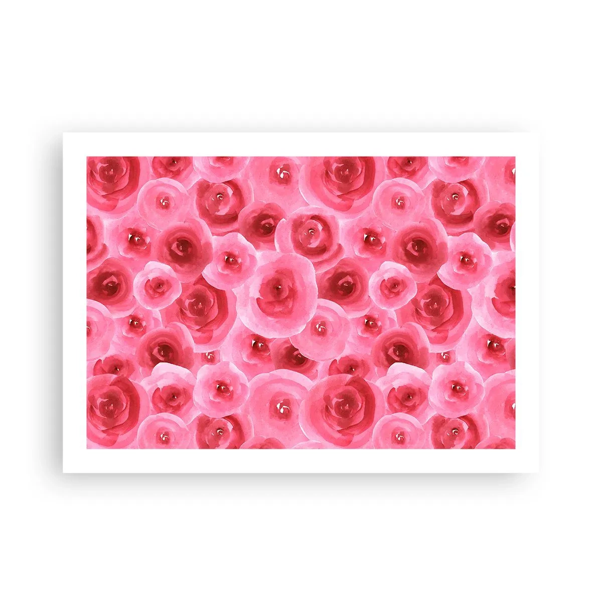 Póster - Rosas abajo y arriba - 70x50 cm
