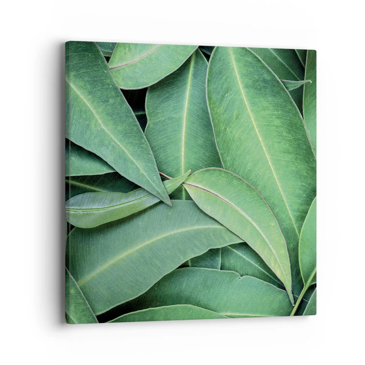 Cuadro sobre lienzo - Impresión de Imagen - Jugosidad y frescura - 40x40 cm