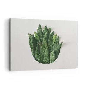 Cuadro sobre lienzo - Impresión de Imagen - Una composición de hojas verdes sobre un fondo claro. - 100x70cm - Curiosidad desenfrenada - Decoración de pared moderna para salón y dormitorio ARTTOR