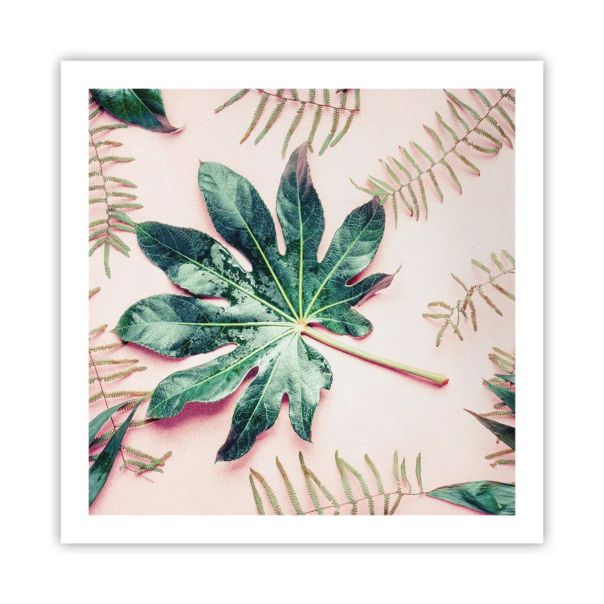 Póster - Estudio de vegetación sobre fondo rosa - 60x60 cm