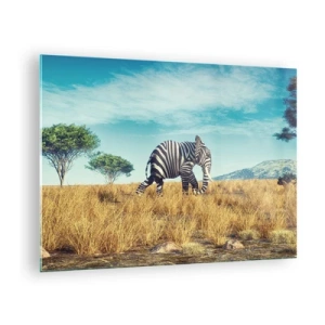 Cuadro sobre vidrio - Impresiones sobre Vidrio - Un elefante con rayas de cebra en la sabana bajo el cielo. - 70x50cm - El gris ya no está de moda - Decoración de pared moderna para salón y dormitorio ARTTOR