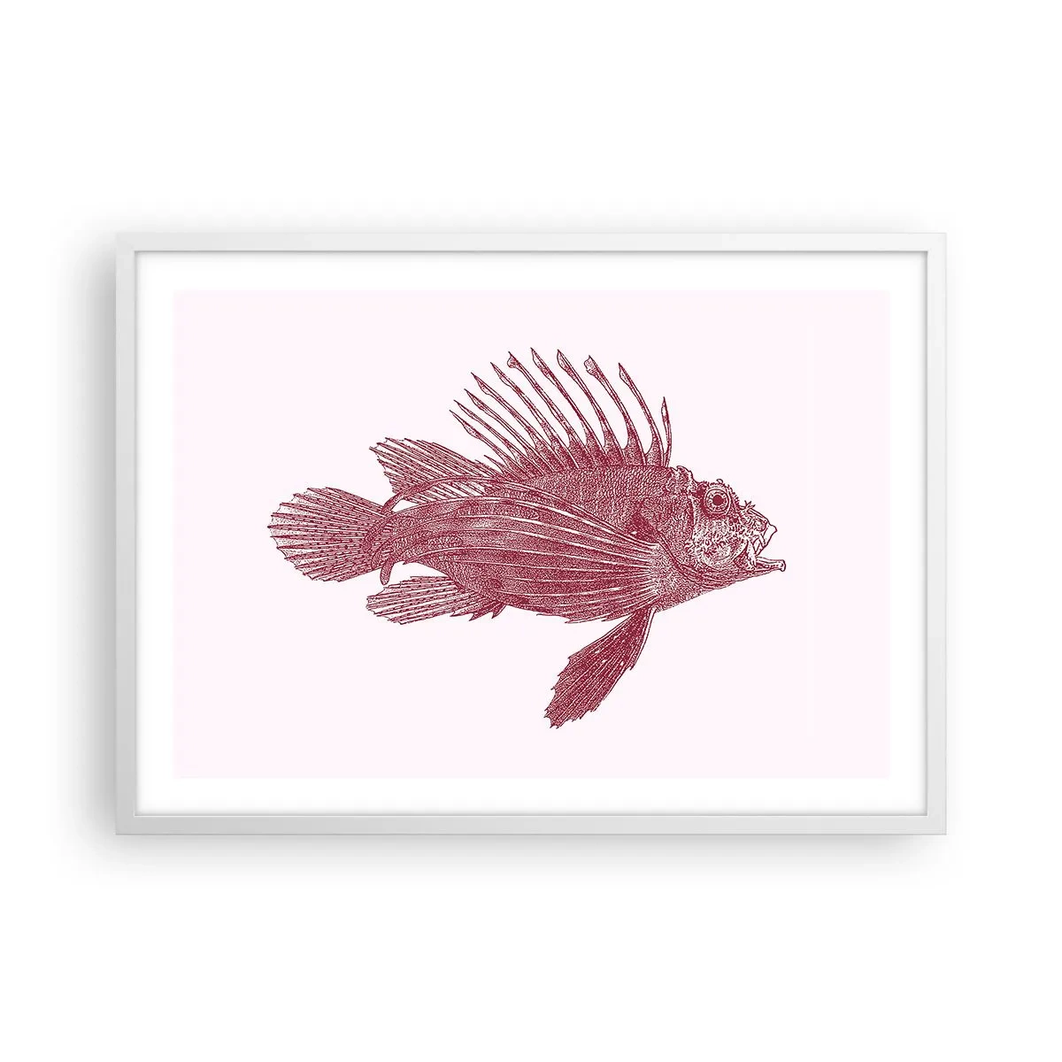 Póster en marco blanco - Un habitante de aguas exóticas - 70x50 cm