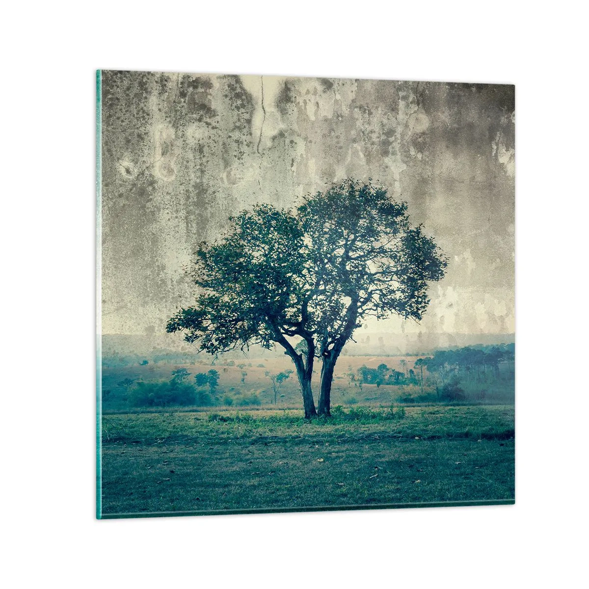 Cuadro sobre vidrio - Impresiones sobre Vidrio - El manzano - 70x70 cm