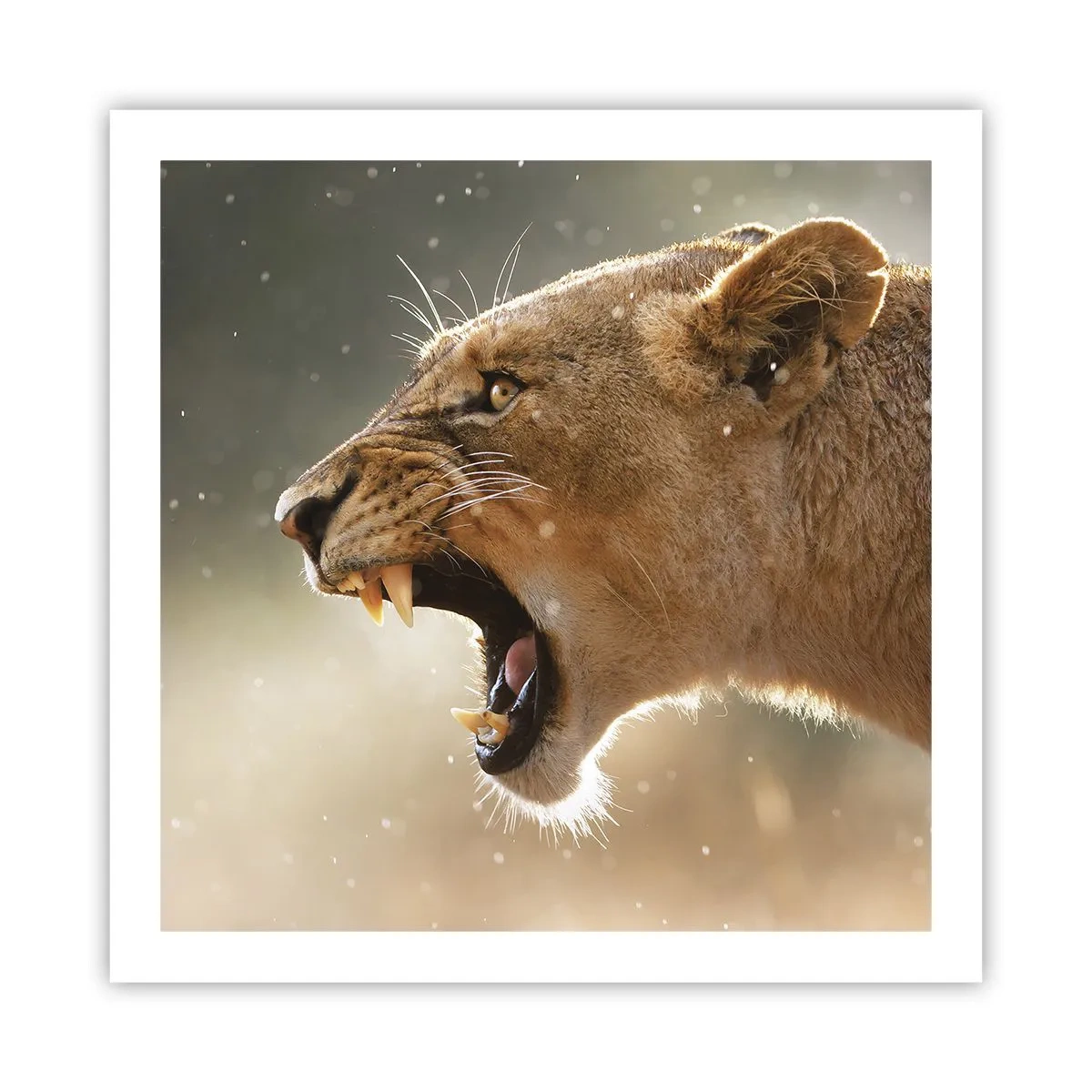 Póster - Silencio, es mi turno de palabra - 60x60 cm