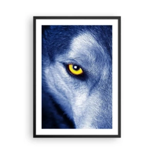 Póster en marco negro - Un primer plano del ojo amarillo de un lobo en un tono azul. - 50x70cm - La mirada hipnótica - Decoración de pared moderna para salón y dormitorio ARTTOR