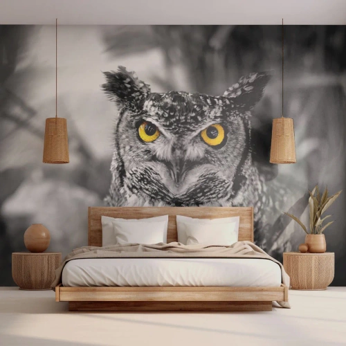 Fotomural Premium Canvas - Nada se puede ocultar - Aves, Búho, Naturaleza - 300x210 cm