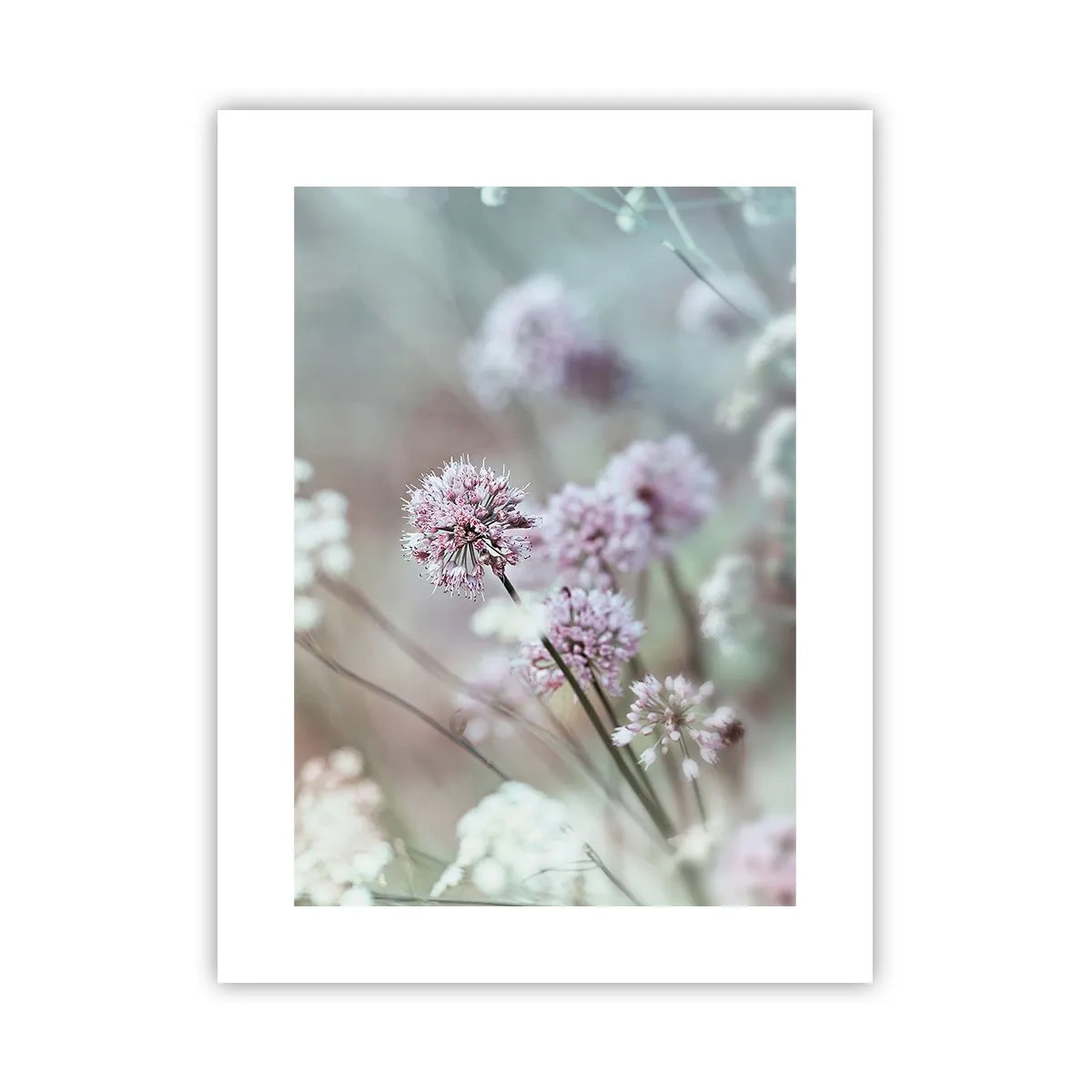 Póster - Dulces filigranas de hierbas - 30x40 cm