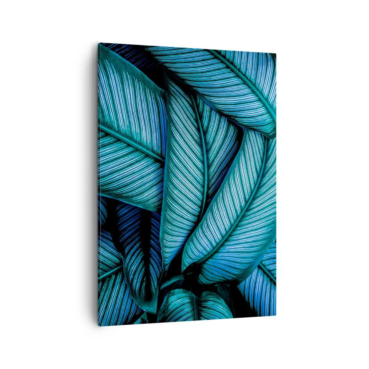 Cuadro sobre lienzo - Impresión de Imagen - Una toma de primer plano de hojas turquesas con vívidos detalles. - 50x70cm - Líneas de vida - Decoración de pared moderna para salón y dormitorio ARTTOR