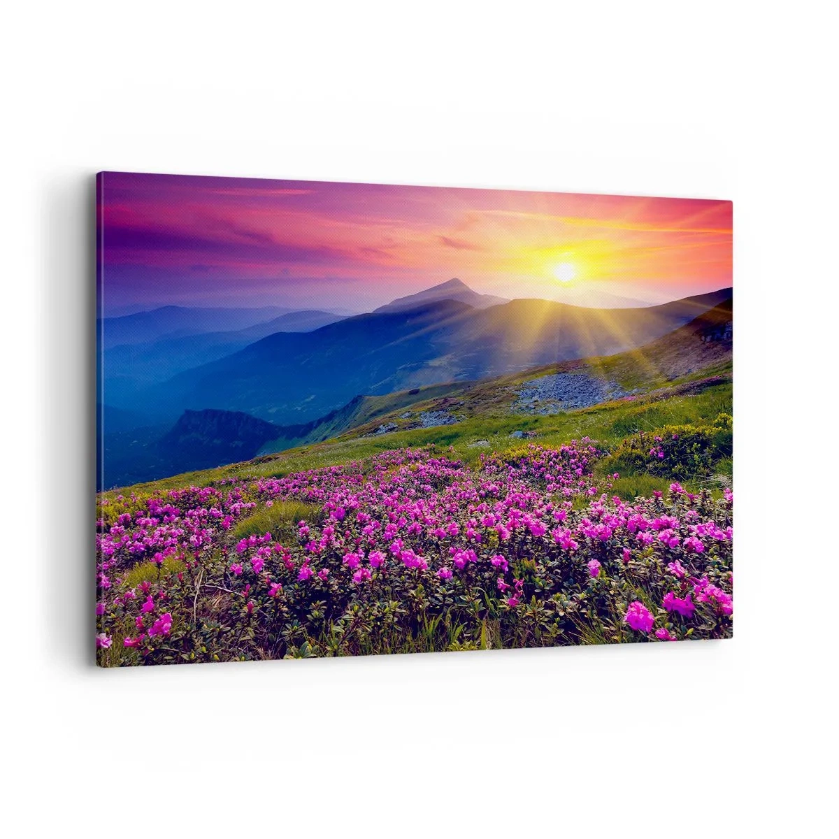 Cuadro sobre lienzo - Impresión de Imagen - Un prado florido con vistas a las montañas durante la puesta de sol. - 120x80cm - ... Y el aroma a hierbas está por todas partes - Decoración de pared moderna para salón y dormitorio ARTTOR