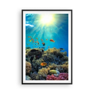 Póster en marco negro - Tesoros submarinos - 61x91 cm