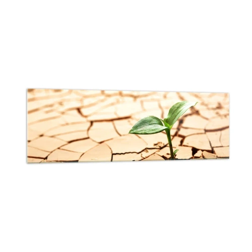 Cuadro sobre vidrio - Impresiones sobre Vidrio - Una planta verde que crece en tierra seca y agrietada. - 160x50cm - El poder indomable de la vida - Decoración de pared moderna para salón y dormitorio ARTTOR