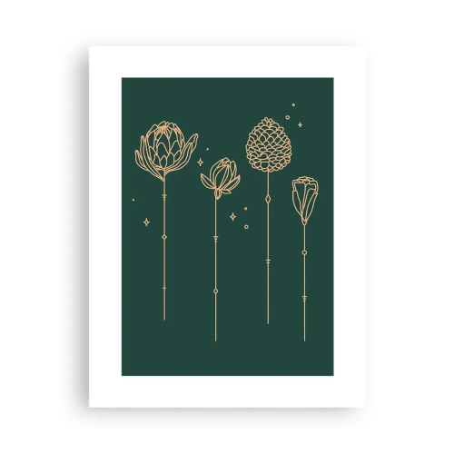 Póster - La familia vegetal - 30x40 cm