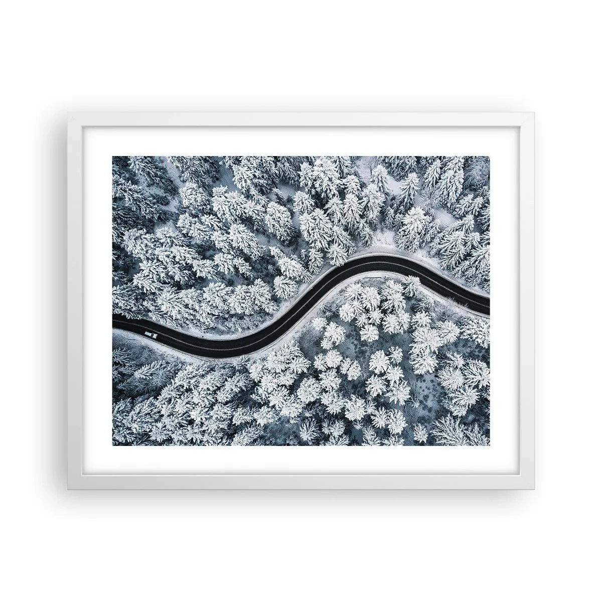 Póster en marco blanco - A través de un bosque invernal - 50x40 cm