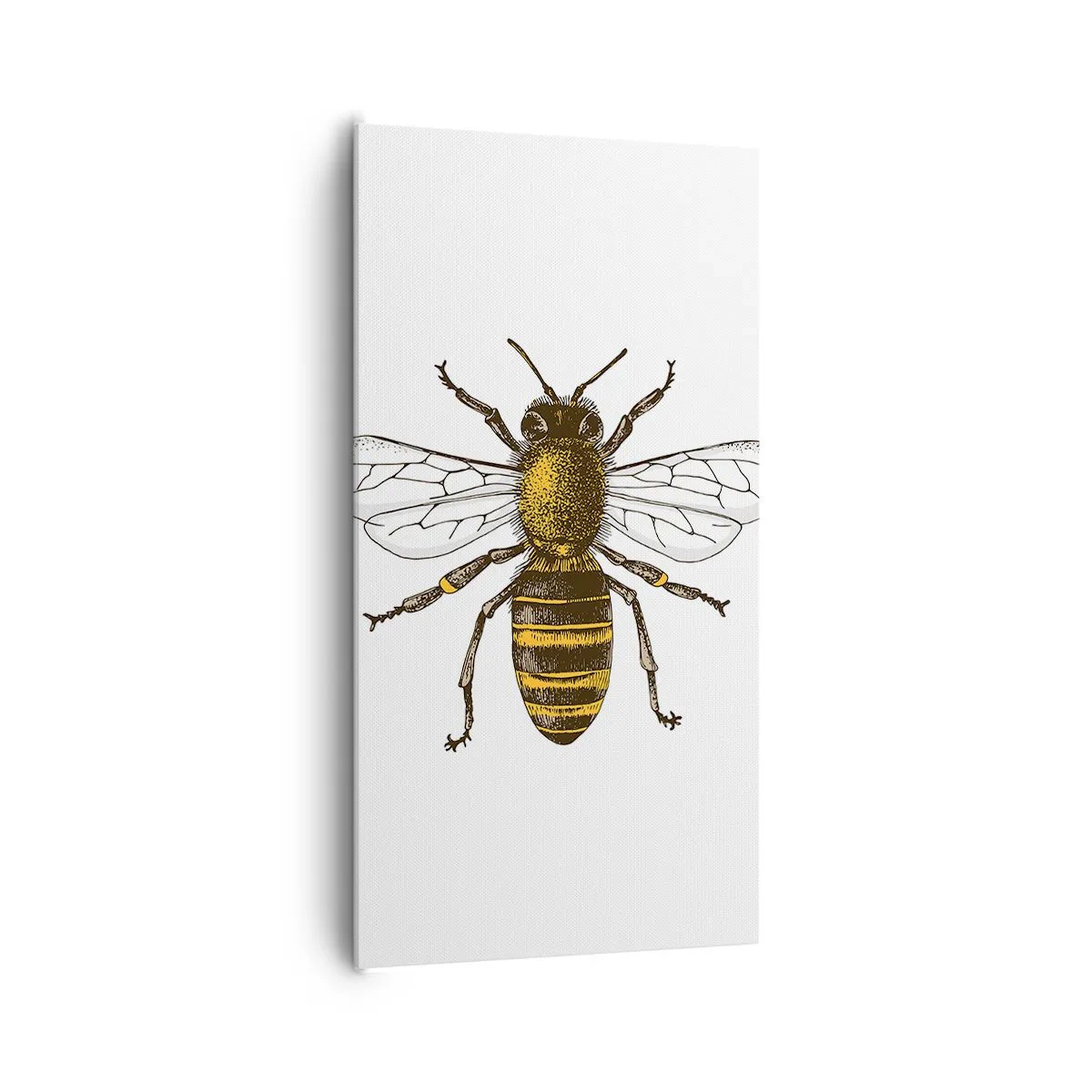 Cuadro sobre lienzo - Impresión de Imagen - Bondad natural - 65x120 cm