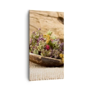 Cuadro sobre lienzo - Impresión de Imagen - Flores coloridas y hierbas aromáticas - 55x100 cm