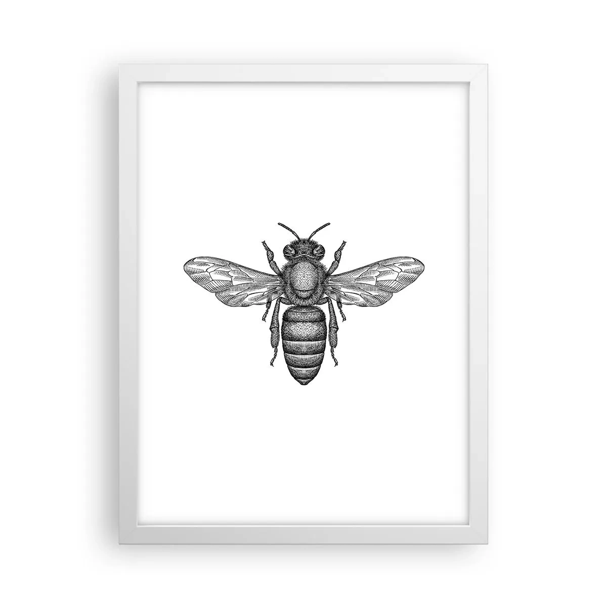 Póster en marco blanco - Retrato de insecto - 30x40 cm