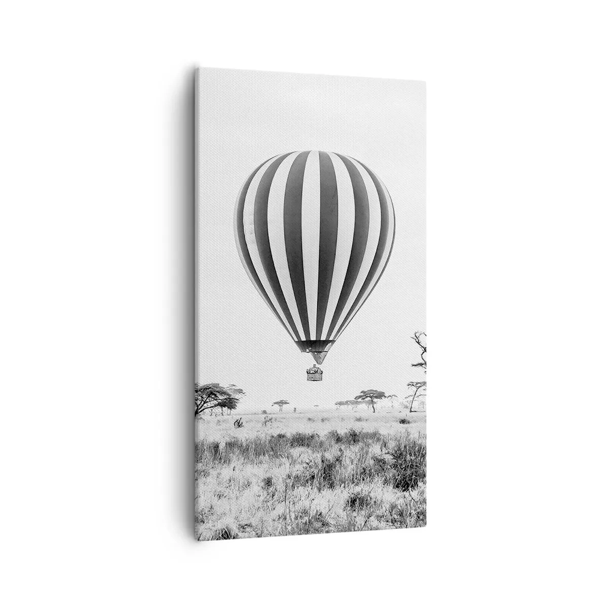 Cuadro sobre lienzo - Impresión de Imagen - Sobre la sabana - 55x100 cm