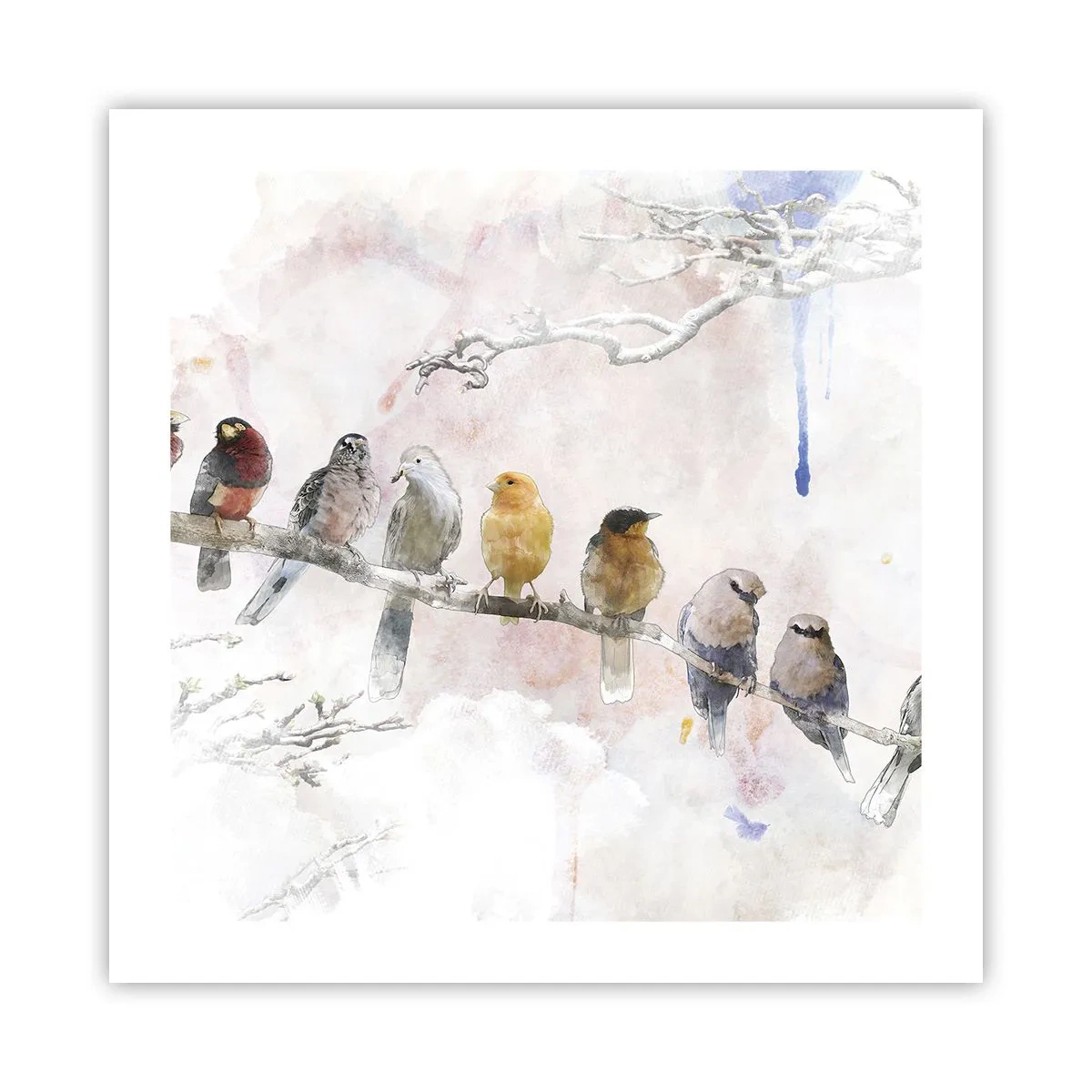 Póster - Reunión alada - 50x50 cm