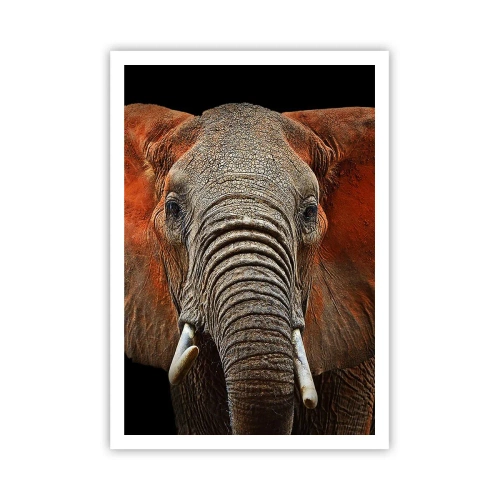 Póster - Soy salvaje, ¿y tú? - 70x100 cm