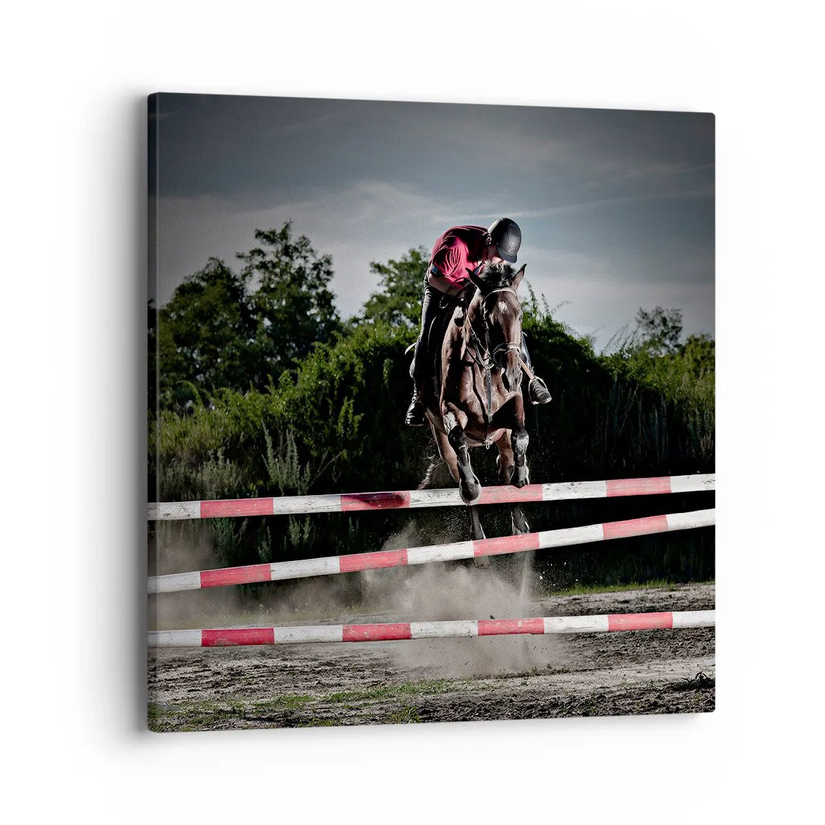 Cuadro sobre lienzo - Impresión de Imagen - Juntos por la victoria - 40x40 cm