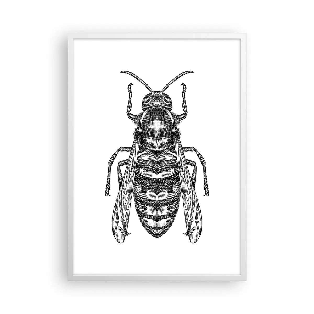 Póster en marco blanco - Desde un planeta de insectos - 50x70 cm
