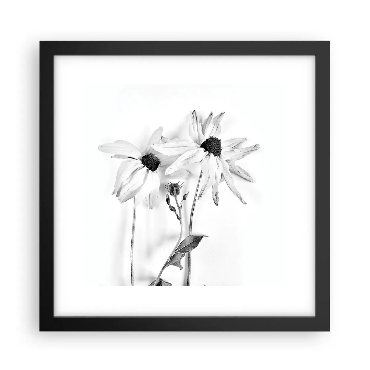 Póster en marco negro - Nadie quiere estar solo - 30x30 cm