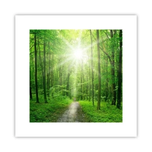 Póster - Catedral verde - 30x30 cm