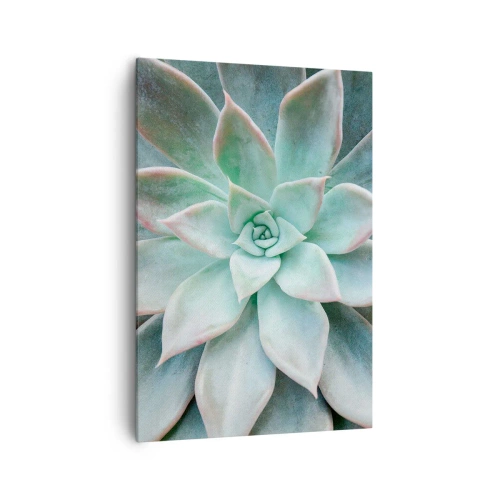 Cuadro sobre lienzo - Impresión de Imagen - Primer plano de una suculenta verde - 70x100cm - El corazón del desierto - Decoración de pared moderna para salón y dormitorio ARTTOR