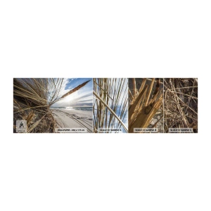 Muestra de fotomural autoadhesivo Deluxe Sticker - Una reunión de los elementos - Paisaje, Mar, Dunas - 100x30 cm