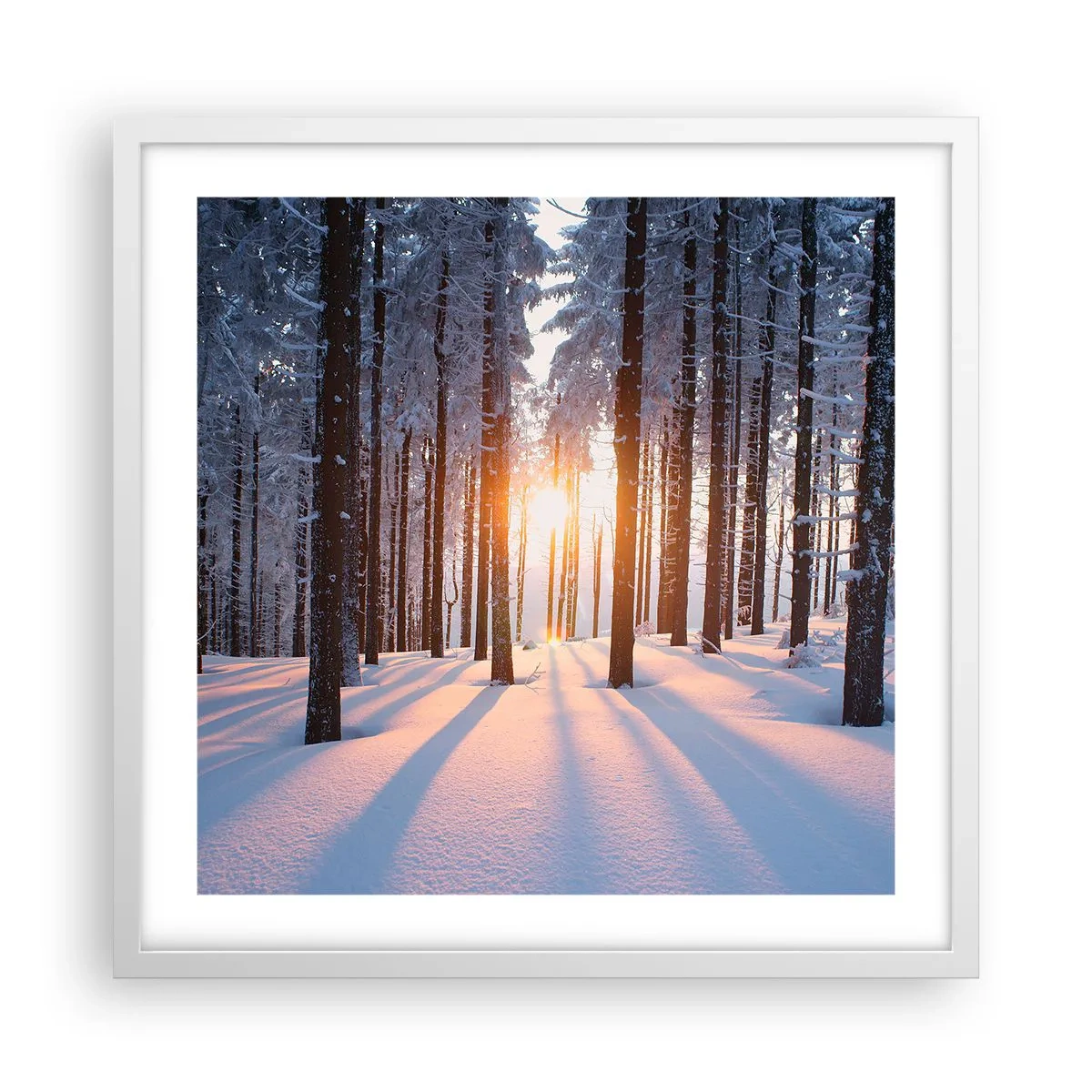 Póster en marco blanco - Claramente en blanco y negro - 50x50 cm