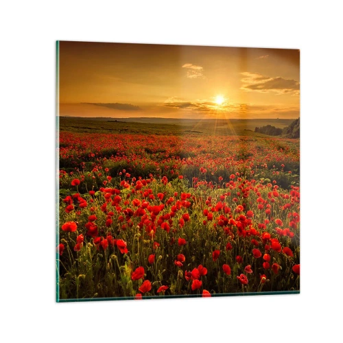 Cuadro sobre vidrio - Impresiones sobre Vidrio - Entre los campos de flores - 60x60 cm