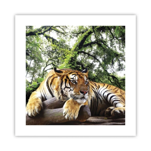 Póster - Atentamente - 40x40 cm