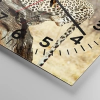 Esfera con numeración