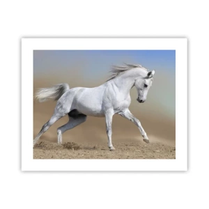 Póster - El más bello cuento de hadas árabe - 50x40 cm