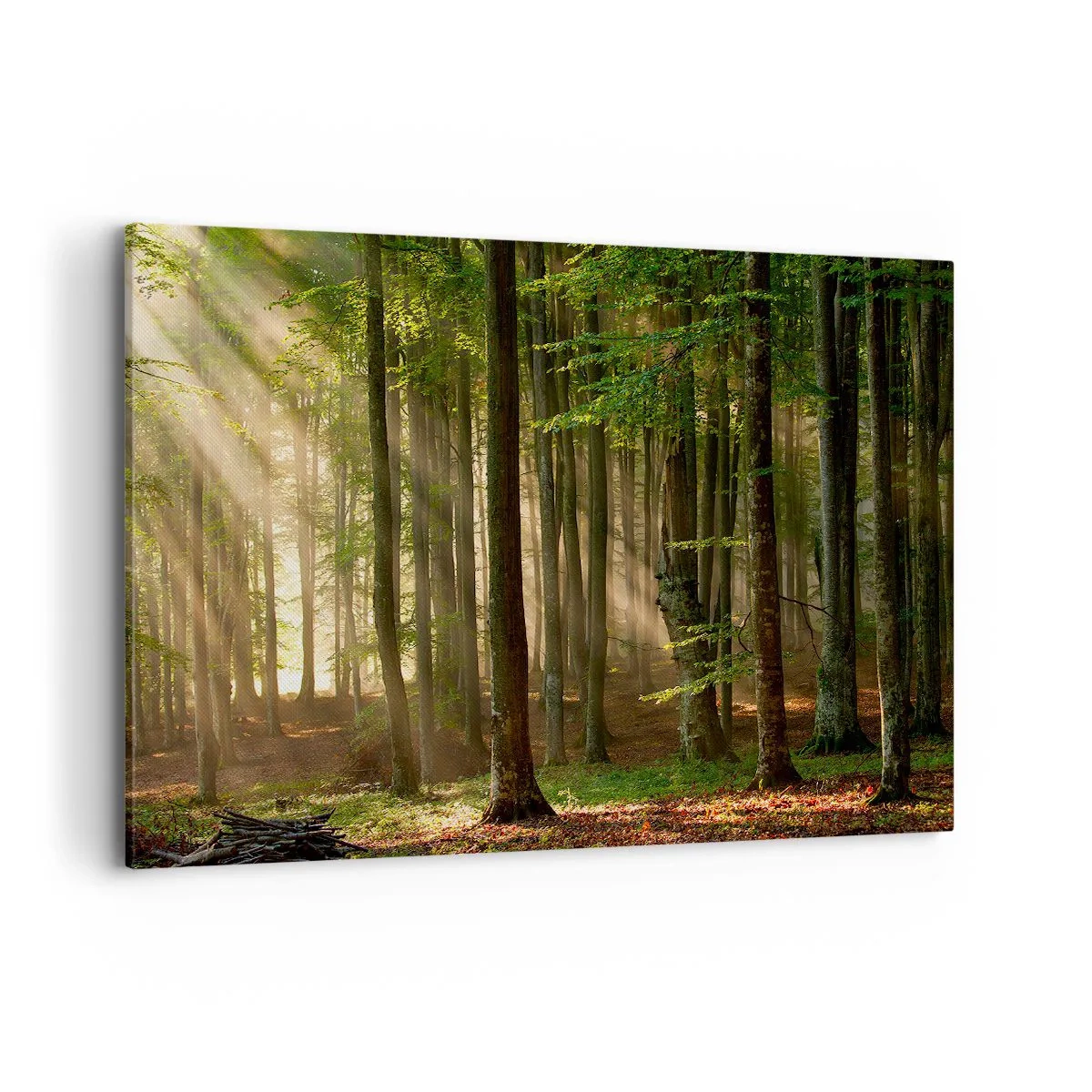 Cuadro sobre lienzo - Impresión de Imagen - Los rayos del sol penetran a través de los árboles en el bosque. - 120x80cm - Radiante en una mañana de primavera - Decoración de pared moderna para salón y dormitorio ARTTOR
