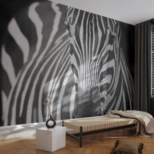 Fotomural Premium Sand - Un primer plano en blanco y negro de una cebra con un patrón de rayas distintivo. - 100x70cm - El mundo es blanco y negro - Decoración de pared moderna para salón y dormitorio ARTTOR
