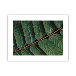 Póster - En un ritmo verde - 40x30 cm