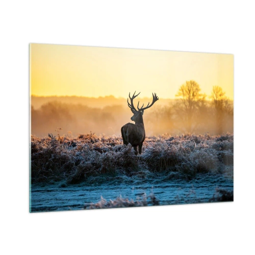 Cuadro sobre vidrio - Impresiones sobre Vidrio - Ciervos en una mañana helada con el amanecer de fondo - 100x70cm - Coronado en sus propios dominios - Decoración de pared moderna para salón y dormitorio ARTTOR